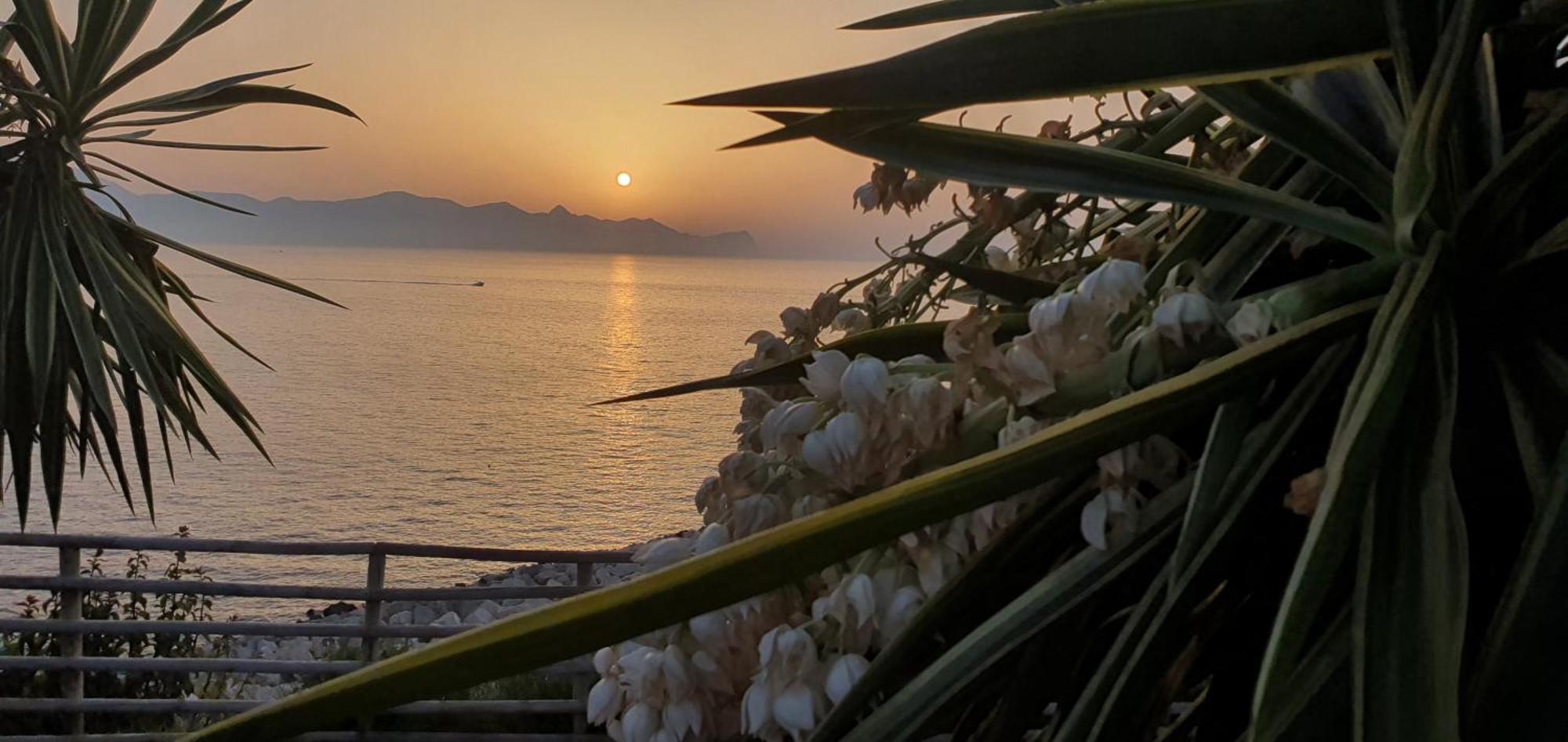 Loft In Balestrate Vicino Al Mare - Rental Beb Εξωτερικό φωτογραφία