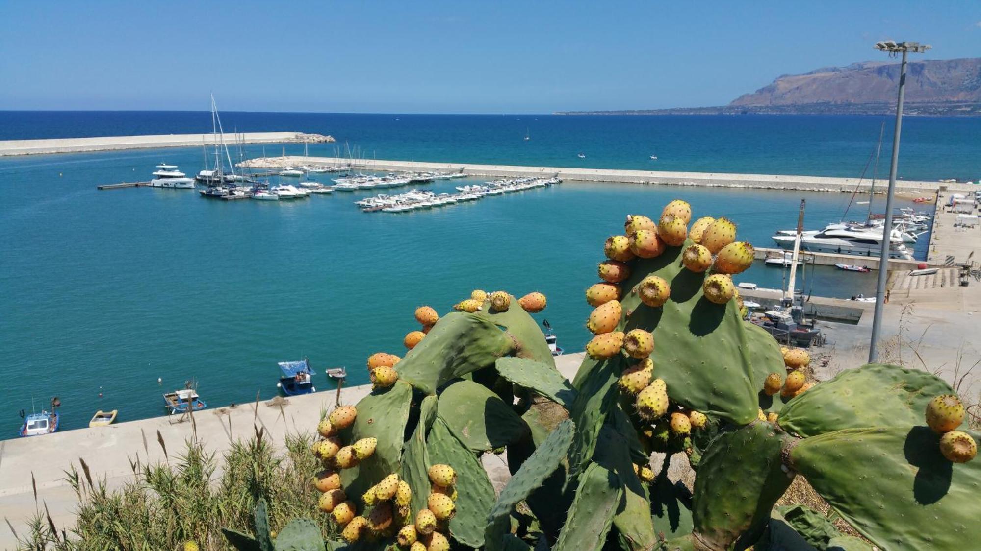 Loft In Balestrate Vicino Al Mare - Rental Beb Εξωτερικό φωτογραφία